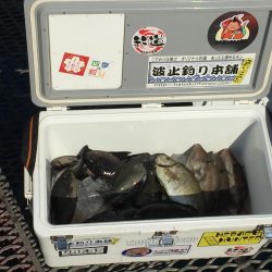 小物釣り満喫